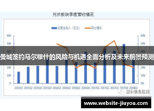 曼城签约马尔穆什的风险与机遇全面分析及未来前景预测