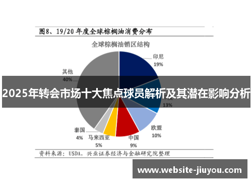 2025年转会市场十大焦点球员解析及其潜在影响分析